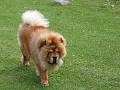 20040830_ 016